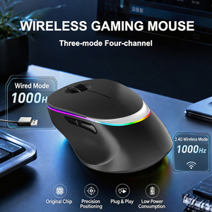 Wireless RGB Gaming & Office Mouse